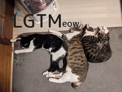 LGTM image