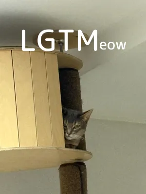 LGTM image