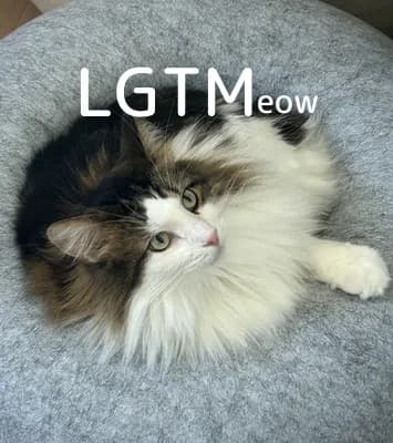LGTM image