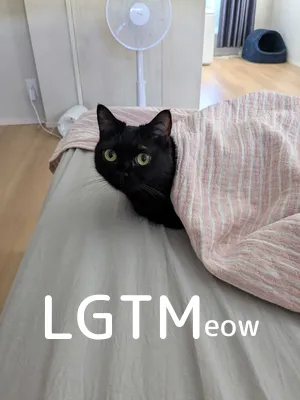 LGTM image