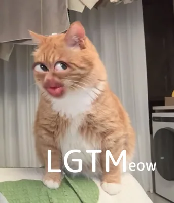 LGTM image