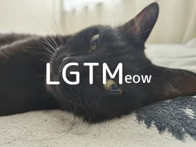 LGTM image