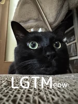 LGTM image