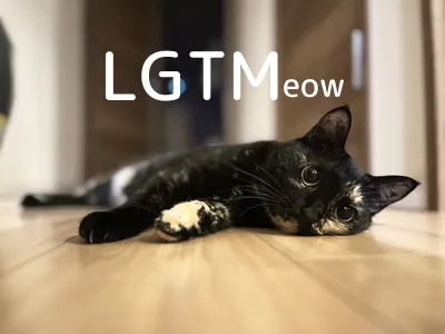 LGTM image