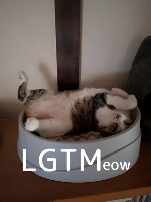 LGTM image