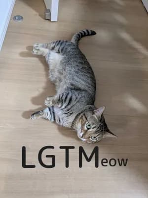LGTM image