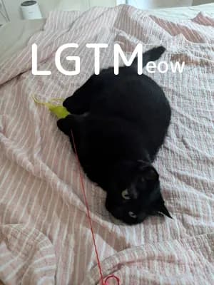 LGTM image
