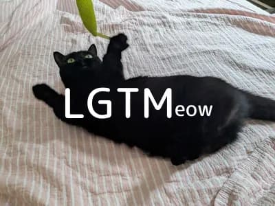lgtm-cat-image