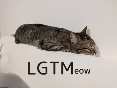 LGTM image