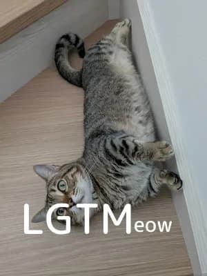 LGTM image