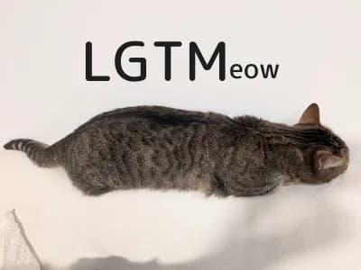 LGTM image