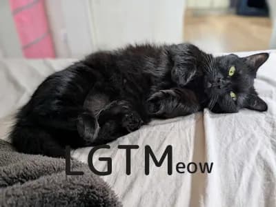 LGTM image