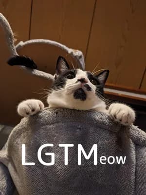 LGTM image