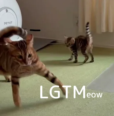LGTM image