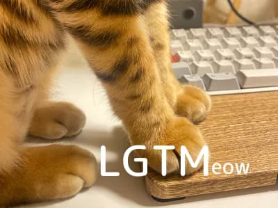 LGTM image