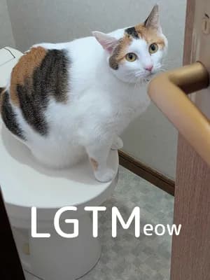 LGTM image