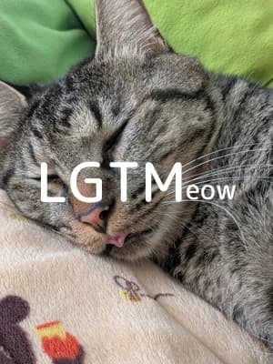 LGTM image