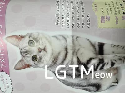 LGTM image