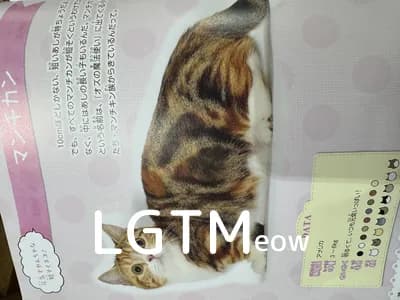 LGTM image