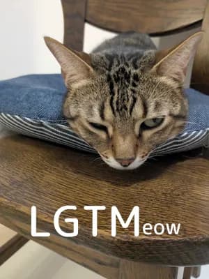 LGTM image