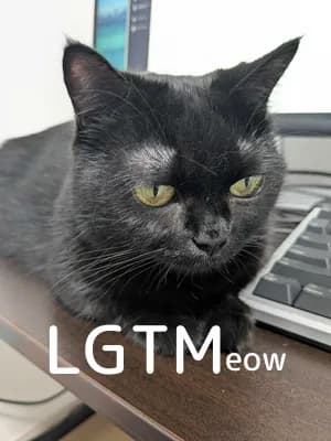 LGTM image