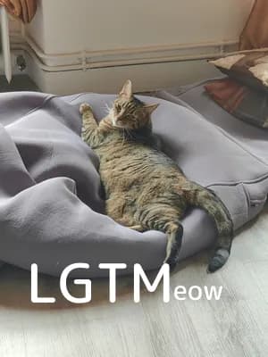 LGTM image