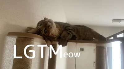 LGTM image