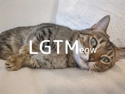 LGTM image