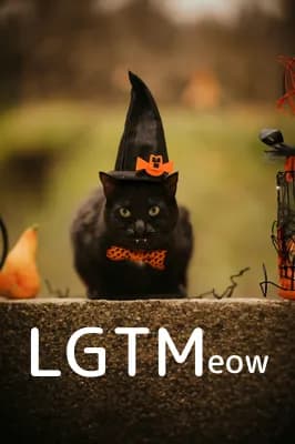 LGTM image