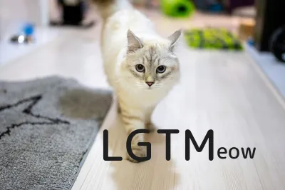 LGTM image