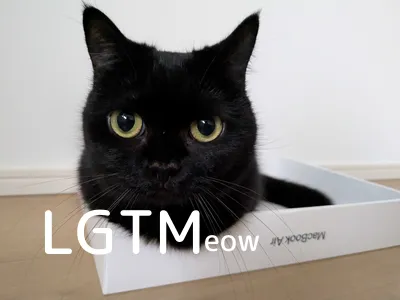 lgtm-cat-image