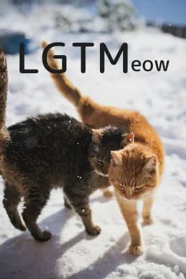 LGTM image