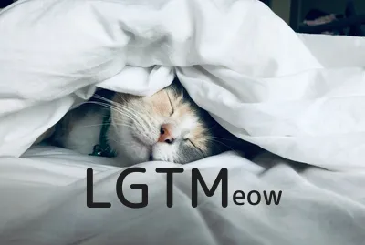 LGTM image