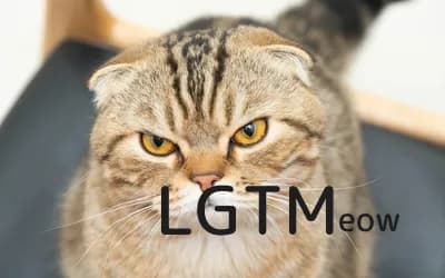 LGTM image