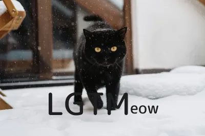 LGTM image