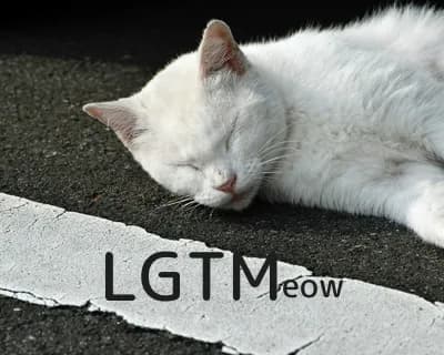 LGTM image
