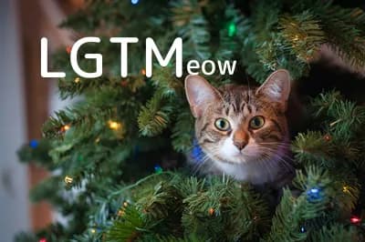 LGTM image