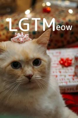 LGTM image