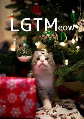 LGTM image