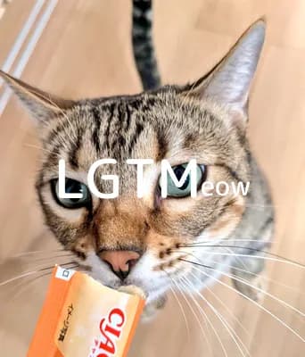 LGTM image