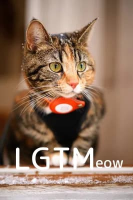 LGTM image
