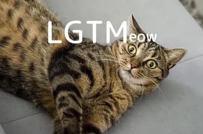 LGTM image