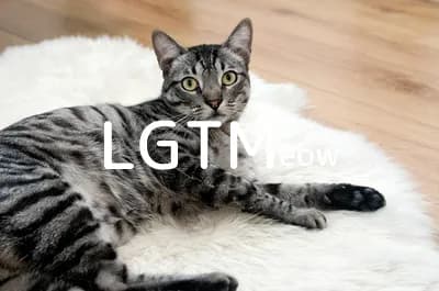LGTM image
