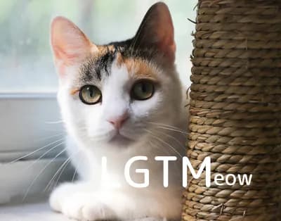 LGTM image