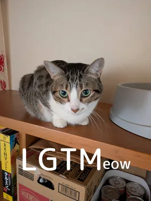 LGTM image