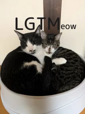 LGTM image
