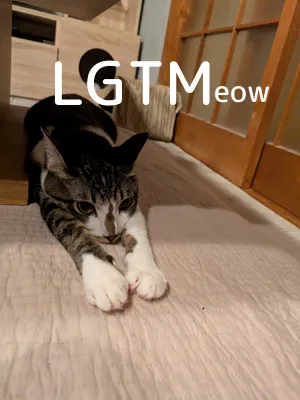 LGTM image