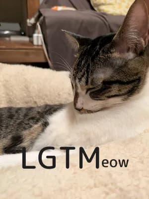 LGTM image