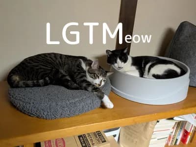 LGTM image