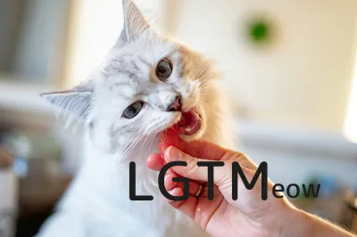 LGTM image
